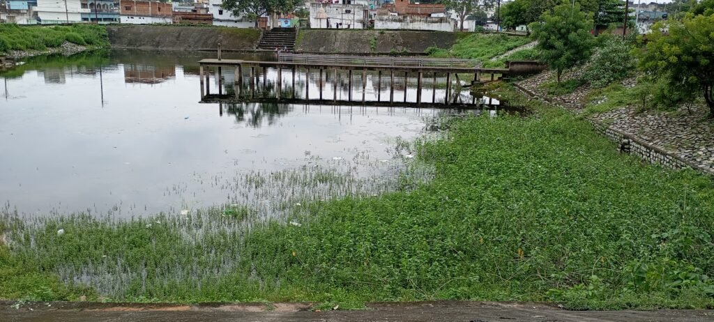 दीपका ज्योति नगर के तालाब की स्थिति हुई बद से बदतर तालाब पूनर जीवित होने को है मोहताज – कौन सुनेगा प्रकृति की पुकार